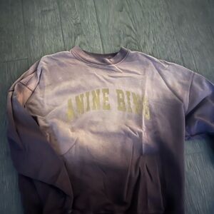 Anine Bing Purple and Gold Sweatshirt